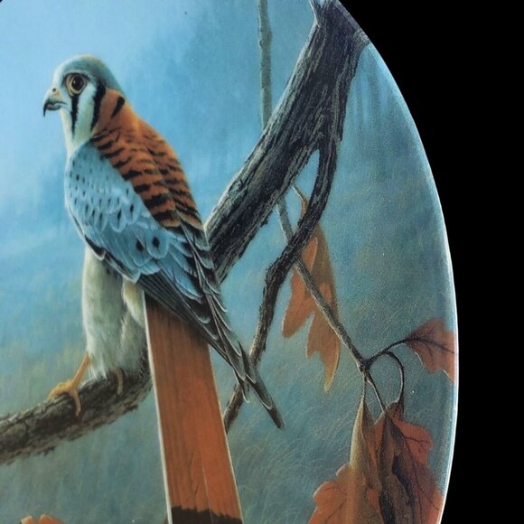 Hawk Plate Collectible 1989 Knowles American Kestrel By Daniel Smith 84-K41-74.6 - Picture 5 of 7